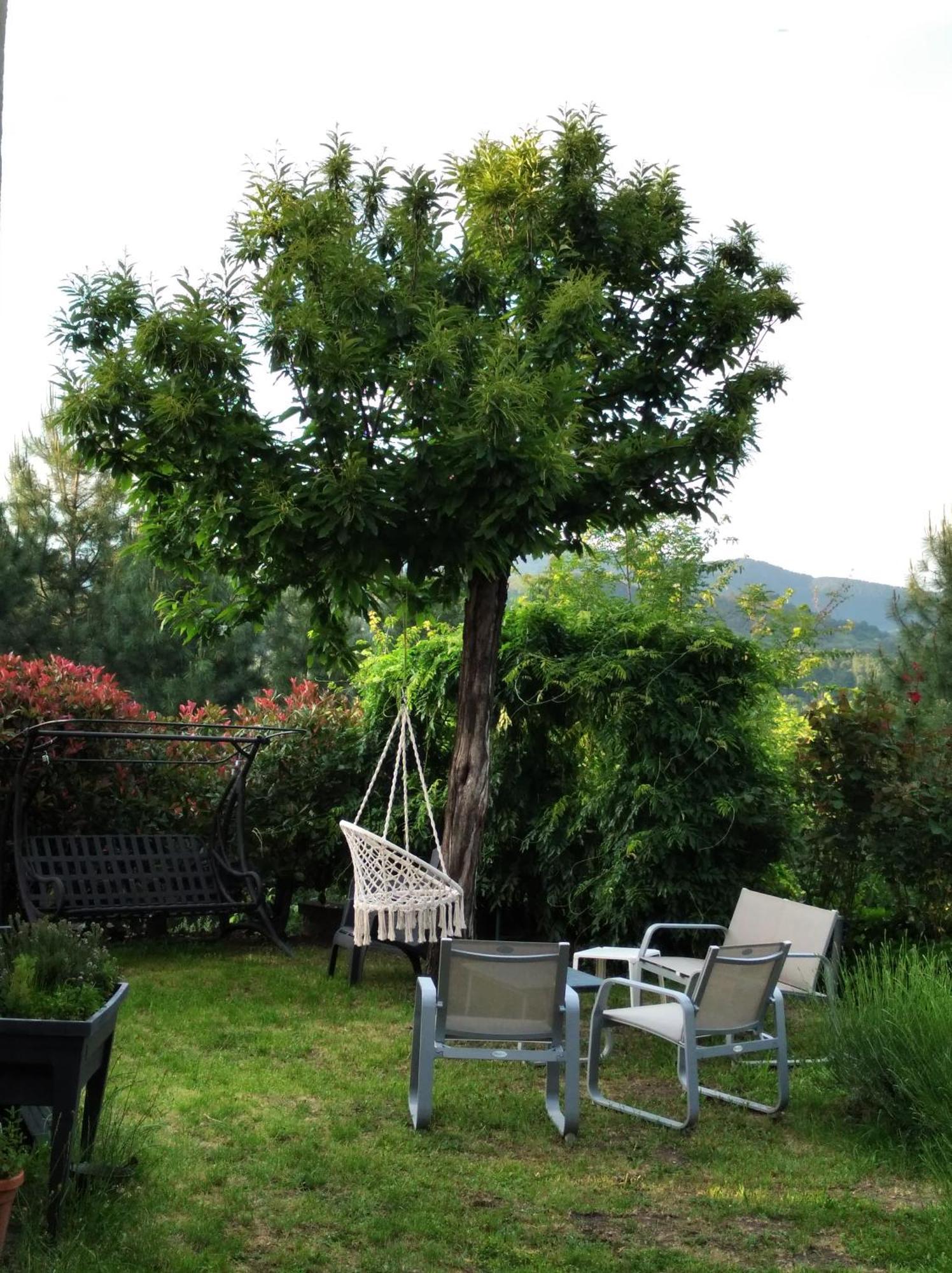 Appartamento Le Ptit Crouzon Prades  Esterno foto